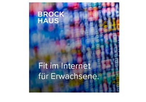 Zu sehen ist ein Schriftzug mit dem Titel des Onlinekurses vor einem Hintergrund mit unscharf dargestellten bunten Codes als Symbol für das Internet.