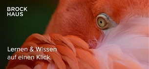 Logo Brockhaus allgemein Auf dem Bild ist der Brockhaus Slogan "Lernen und Wissen auf einen Klick" vor einem Flamingo zu sehen. © Brockhaus